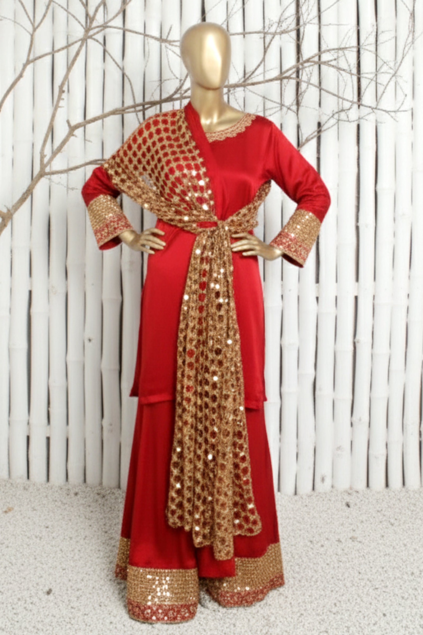 AMBANI DUPATTA (RO-253)